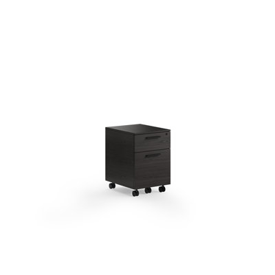 Linea 2 Drawer Vertical Filling Cabinet by BDI