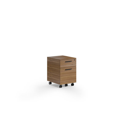 Linea 2 Drawer Vertical Filling Cabinet by BDI