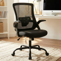 Neeya Ergonomic Home Ofiice Mesh Chair Computer Chair with Flip-Up Arms