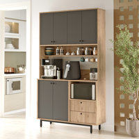 Colesen Multi Purpose Cabinet by Wade Logan