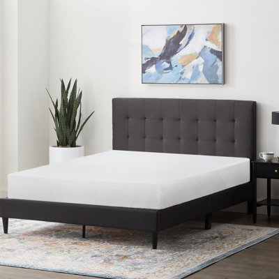 Ansonia 8" Plush Gel memory foam Mattress by The Twillery Co.