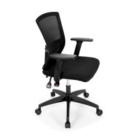 Merrik Ergonomic S-Shaped Mesh Office Chair with Lumbar Support & 360° Swivel by Inbox Zero