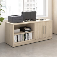 Bush Business Furniture Vista Low Storage Cabinet With Doors And Shelves by Bush Business Furniture