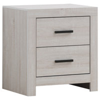 Freidin 2-Drawer Nightstand Coastal White by Ebern Designs