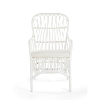 Aindriu Rattan Arm Chair by Bayou Breeze