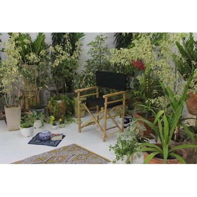 Laseter Folding Director Chair by Bay Isle Home
