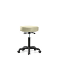 Kaiya Bench Height Adjustable Lab Stool by Symple Stuff