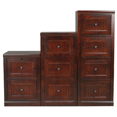 Meredith 2 Drawer File by Breakwater Bay