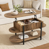 Wynny Oval Lift-Top Coffee Table with Storage for the living room by 17 Stories