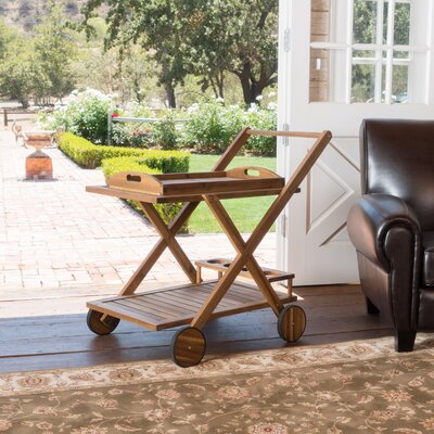 Deming Bar Cart by Bay Isle Home