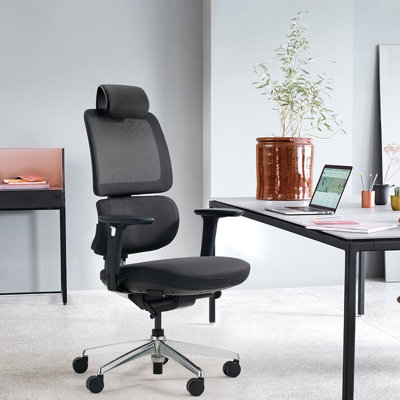 Ergonomic Mesh Task Chair by Inbox Zero