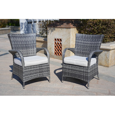 Medea 2Pcs Dining Chair With Cushions by Direct Wicker