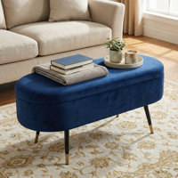 Cortesi Home Ruslan Oval Storage Ottoman, Navy by Cortesi Home