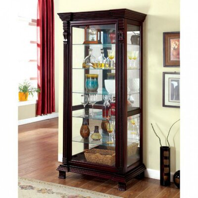 Darby home co purvoche discount lighted curio cabinet