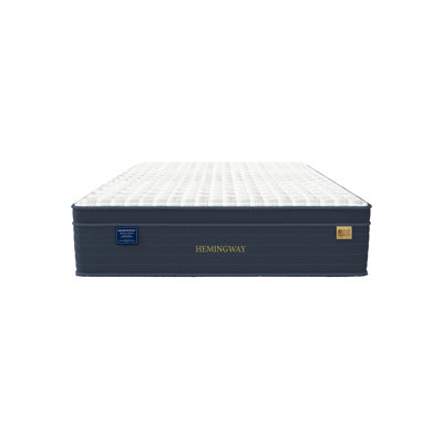Escapade Euro Pillow Top Mattress by Ernest Hemingway