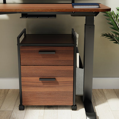 Ziolkowski 2-Drawer Mobile Vertical Filing Cabinet by Trent Austin Design