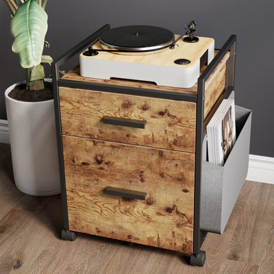 Ziolkowski 2-Drawer Mobile Vertical Filing Cabinet by Trent Austin Design