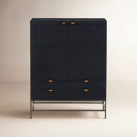 Loki Iron 2 - Door Accent Cabinet by Joss & Main