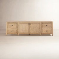 Brielle TV Stand for TVs up to 88" by Birch Lane