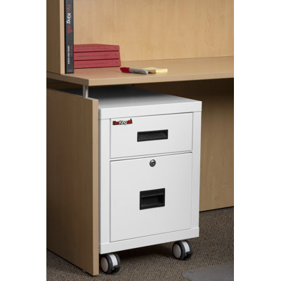 2-Drawer Mobile Vertical Filing Cabinet by FireKing