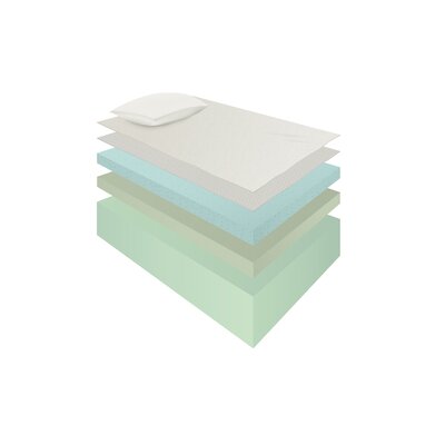 5 Little Monkeys 8" Medium Gel Memory Foam Mattress Bundle by Home by Hollywood