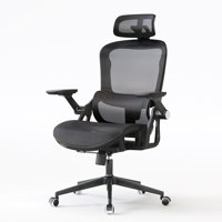Omir Ergonomic Office Chair With Lumbar Support & Flip Up Arms Home Office Desk Chairs Rockable Swivel High Back Computer Chair Mesh Study Chair by Inbox Zero