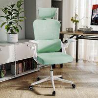 Omir Ergonomic Office Chair With Lumbar Support & Flip Up Arms Home Office Desk Chairs Rockable Swivel High Back Computer Chair Mesh Study Chair by Inbox Zero