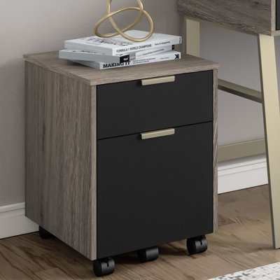 Vickers Home Office File Cabinet by Willa Arlo Interiors
