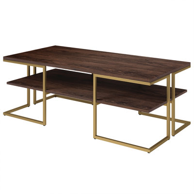 Pike Firkins Frame Coffee Table with Storage by Everly Quinn