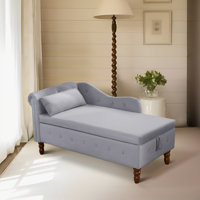 Allien Modern Velvet Upholstery Nailhead Trim Chaise Lounge Chair with Storage and Pillow by House of Hampton