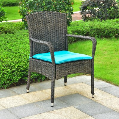 Harbin Resin Wicker Patio Dining Chair With Cushion by Winston Porter