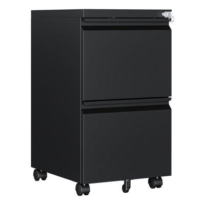 Kristoher 2-Drawer Mobile Vertical Filing Cabinet(Fully Assembled) by Steelcube