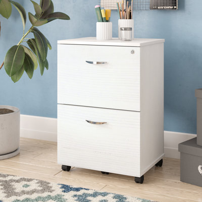 Boutwell 2 Drawer Mobile Vertical Filing Cabinet by Latitude Run