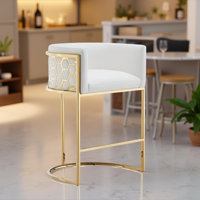 Maluma Counter Stool by Light Interiors