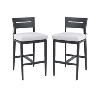 Leeandrew Patio 29.65" Seat Height Bar Stools with Sunbrella Cushions by Ebern Designs