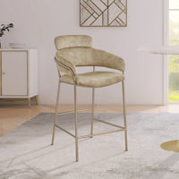 Izais Beige Velvet Counter Stool by Everly Quinn