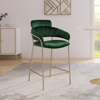 Izais Beige Velvet Counter Stool by Everly Quinn