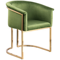 Izakeel Velvet Metal Arm Chair by Everly Quinn