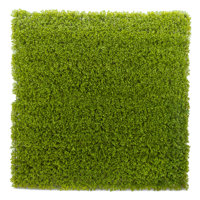 2 ft. H x 2 ft. W Polyethylene Privacy Screen by Naturae Decor