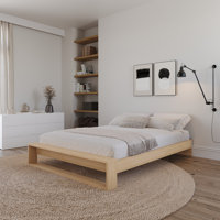 Gael Queen Size Platform Bed with Slats by Hokku Designs