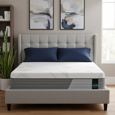 12"/14"Memory Foam Medium Firm Hybrid Mattress Pocket Spring For Motion Isolation In A Box, Oeko-TEX & Certipur-US Certified by Alwyn Home