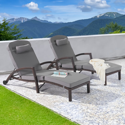 Outdoor Wicker Chaise Lounge Set by SANSTAR