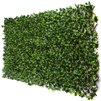 1.6 ft. H x 9 ft. W Bamboo Privacy Screen by 3rd Street Inn