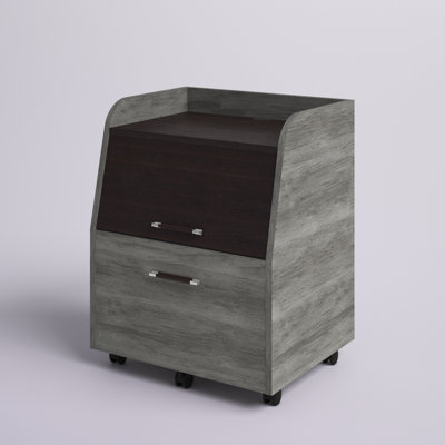 Hurshell Carmina Vintage Gray Oak File Cabinet by Loon Peak