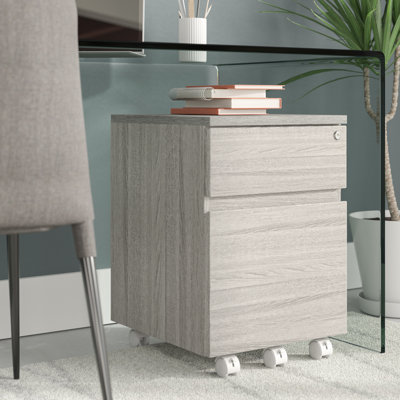 Carreiro Rolling 2-Drawer Mobile Vertical Filing Cabinet by Orren Ellis