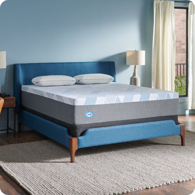 Sealy Dreamlife 12” Plush Foam Mattress-in-a-Box