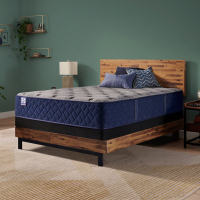 Sealy Dudley Chase 14.5" Medium Tight Top Innerspring Mattress by Sealy