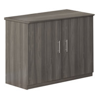 Medina Storage Cabinet by Safco Products Company