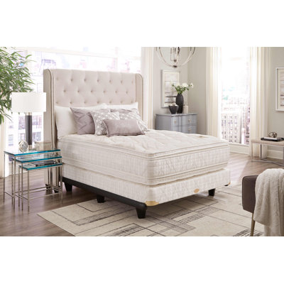 De Wolfe Twin XL Box Spring by Shifman Mattresses