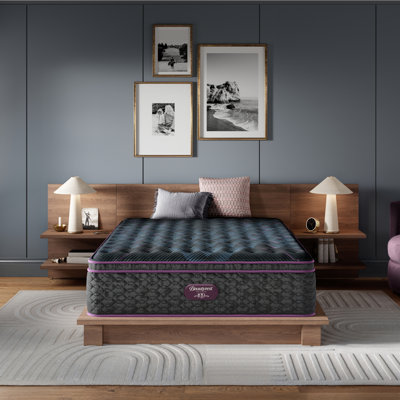 Beautyrest World Class Level Three Medium Pillow Top Mattress by Beautyrest